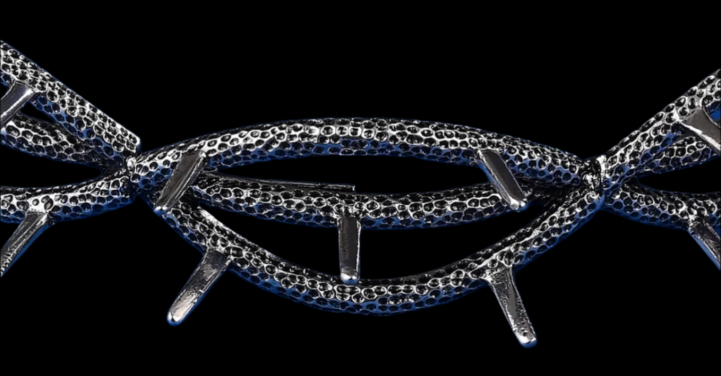 BIG STEPPER CROWN — BARBED EDITION